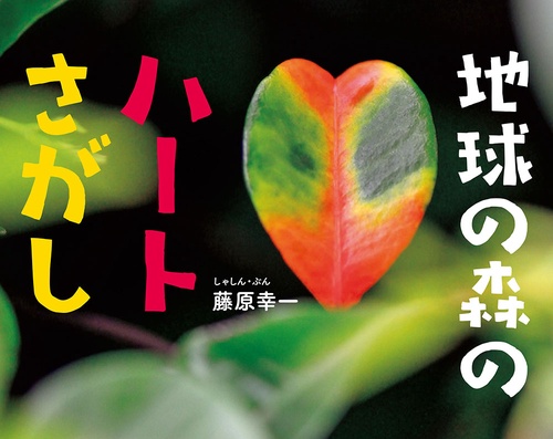 地球の森のハートさがし