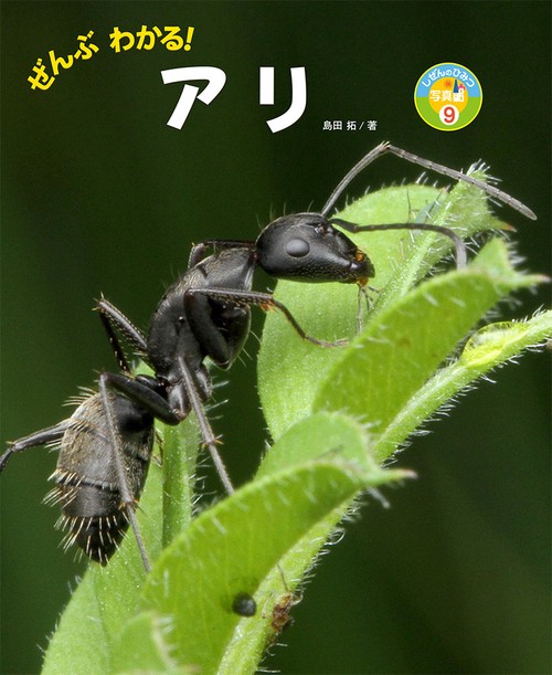 ぜんぶわかる！　アリ