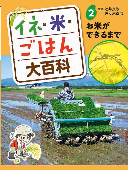 お米ができるまで