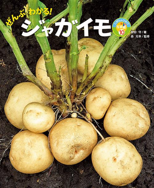 ぜんぶわかる！　ジャガイモ