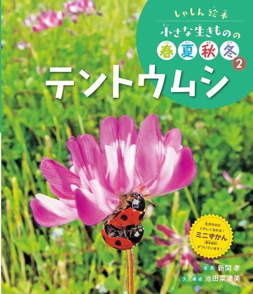 テントウムシ
