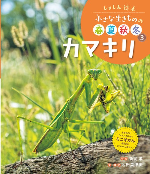 カマキリ