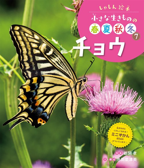 チョウ