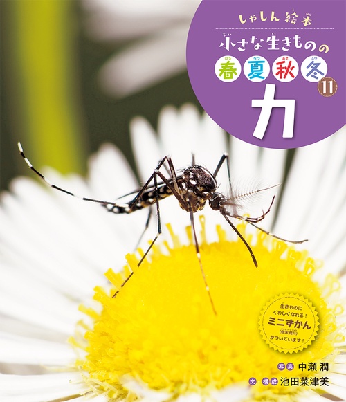 カ