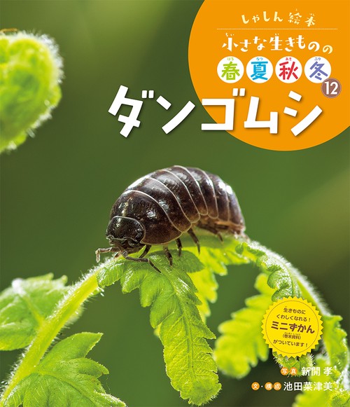 ダンゴムシ