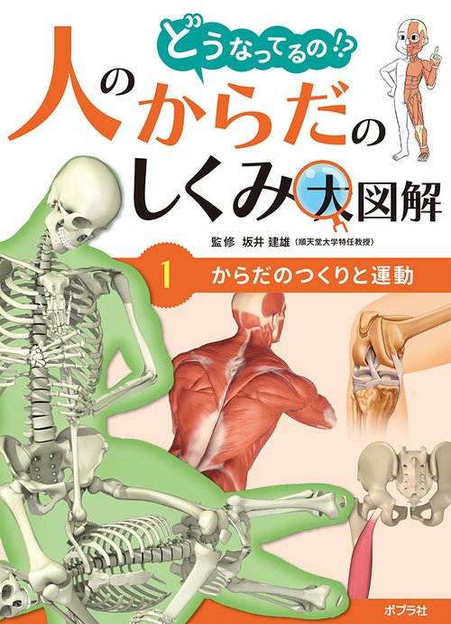 からだのつくりと運動