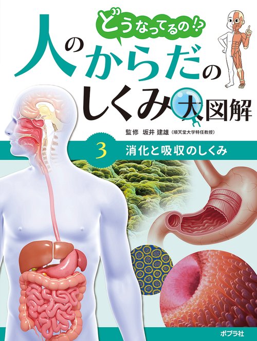 消化と吸収のしくみ