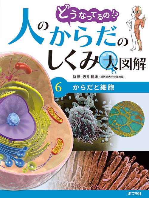 からだと細胞