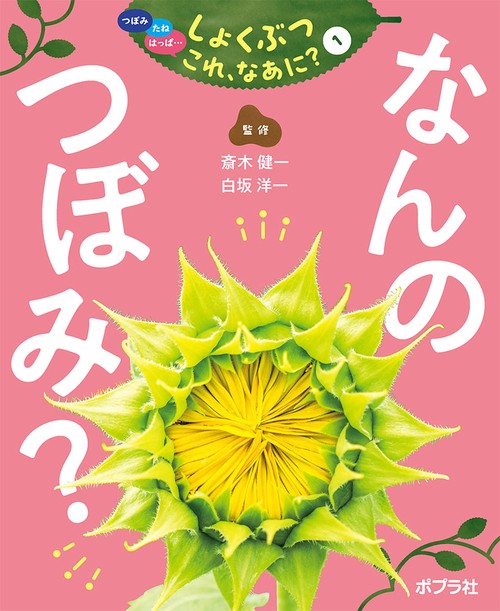 なんの　つぼみ？