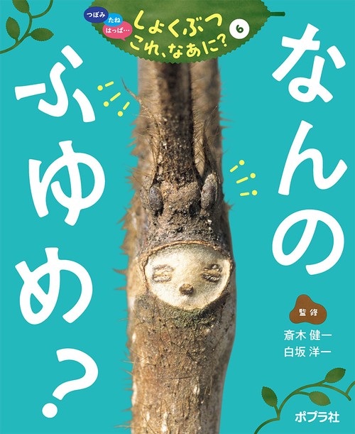 なんの　ふゆめ？