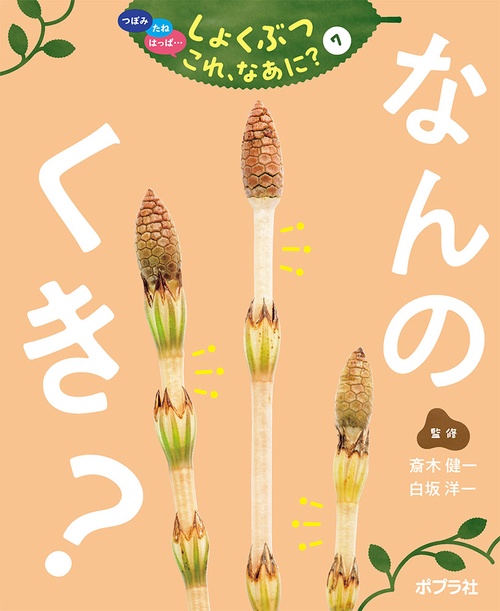 なんの　くき？