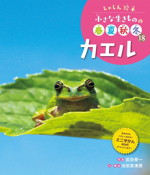 カエル