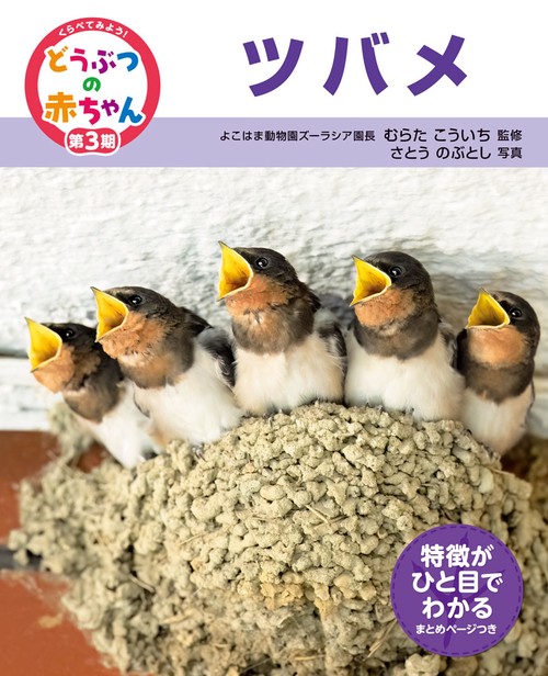 ツバメ