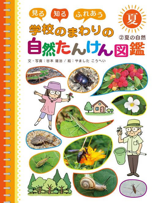 夏の自然