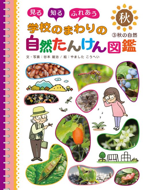 秋の自然