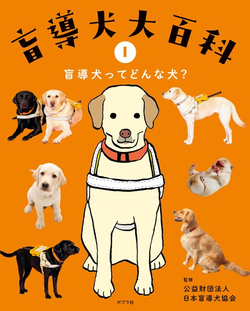 盲導犬ってどんな犬？