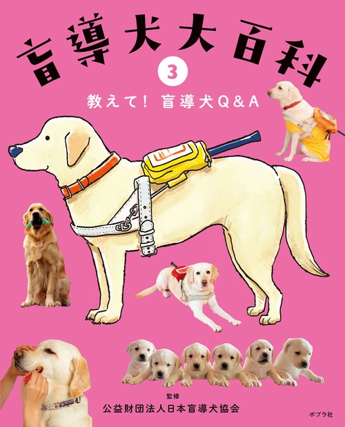 教えて！盲導犬Ｑ&Ａ
