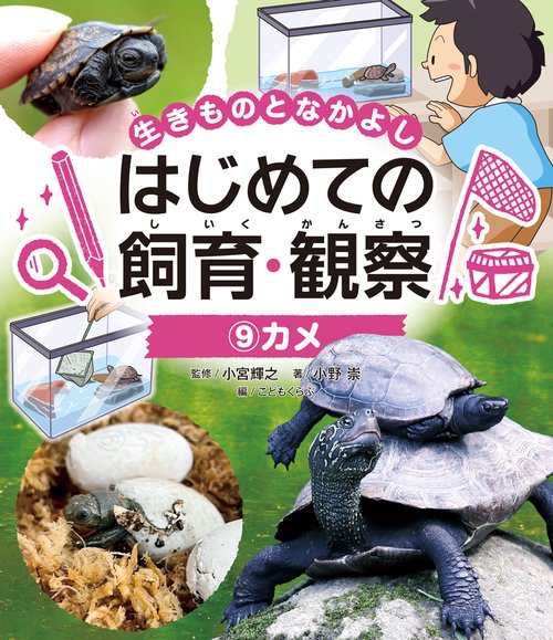 カメ
