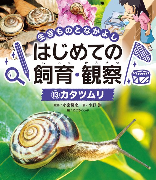カタツムリ