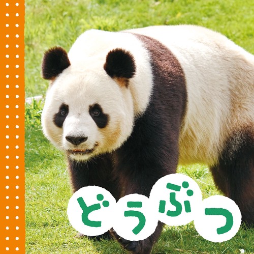 どうぶつ