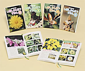 しぜんかんさつずかん 見わける!調べる! 4巻セット