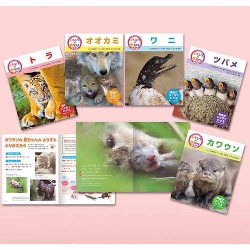 くらべてみよう！どうぶつの赤ちゃん　第３期（全５巻）