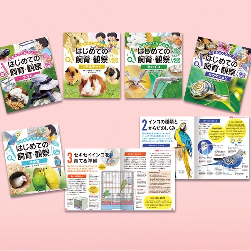生きものとなかよし　はじめての飼育・観察　第２期（全５巻）