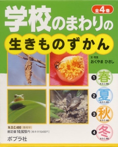 学校のまわりの生きものずかん(全4冊)