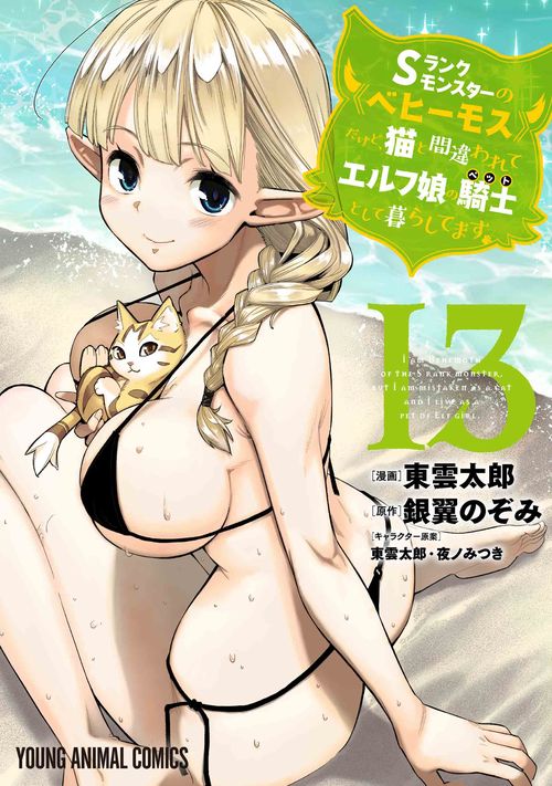 Sランクモンスターの《ベヒーモス》だけど、猫と間違われてエルフ娘の騎士として暮らしてます 13