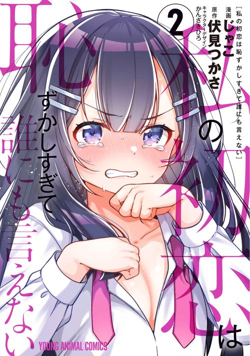 私の初恋は恥ずかしすぎて誰にも言えない 2