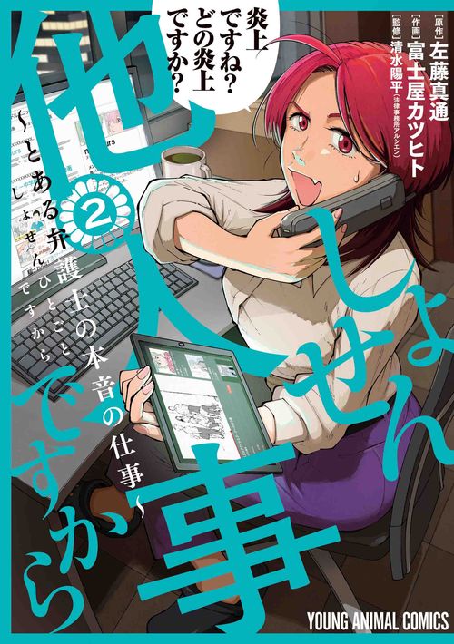 しょせん他人事ですから とある弁護士の本音の仕事 2
