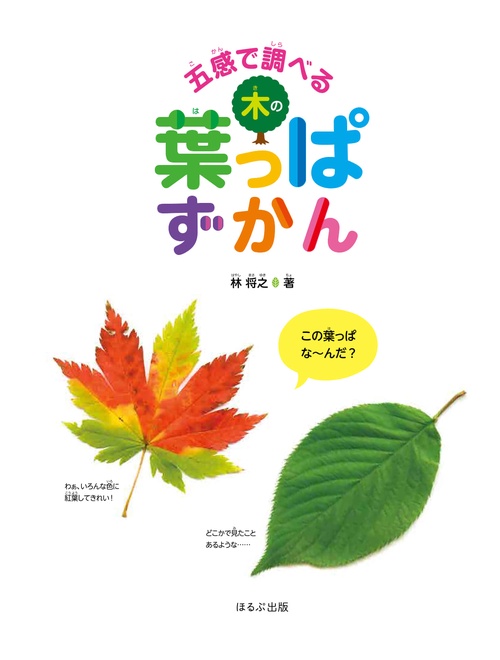 五感で調べる木の葉っぱずかん