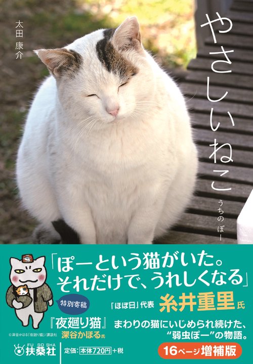 やさしいねこ