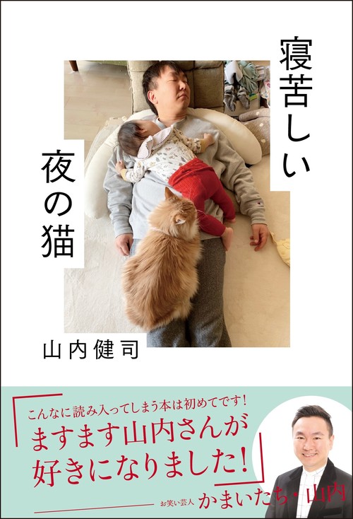 寝苦しい夜の猫