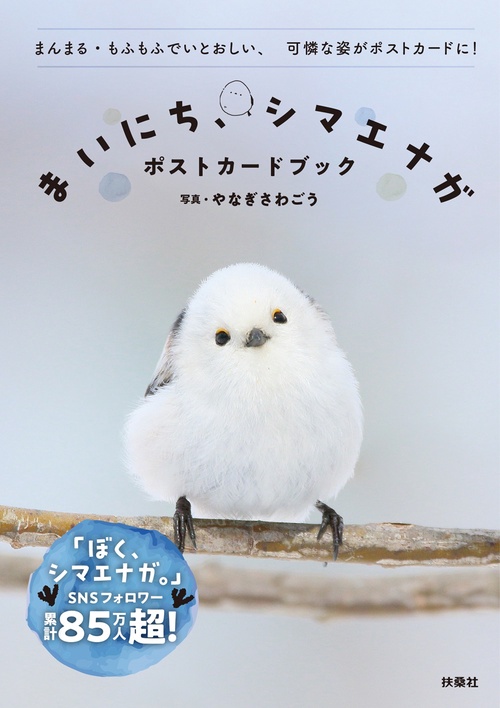 まいにち、シマエナガ　ポストカードブック