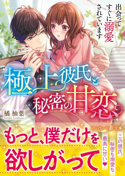 極上彼氏と秘密の甘恋出会ってすぐに溺愛されています