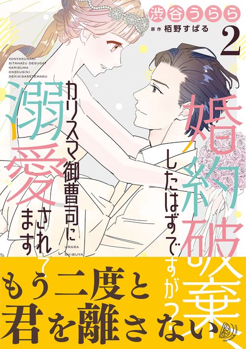婚約破棄、したはずですが？カリスマ御曹司に溺愛されてます2