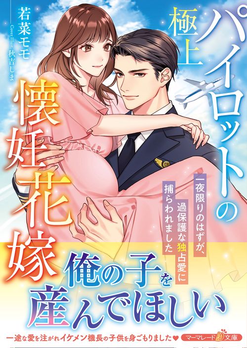 極上パイロットの懐妊花嫁一夜限りのはずが、過保護な独占愛に捕らわれました