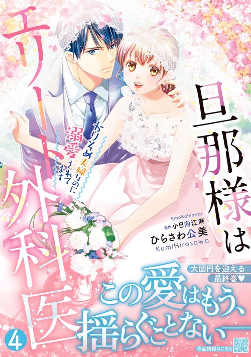 旦那様はエリート外科医～かりそめ夫婦なのに溺愛されてます～4