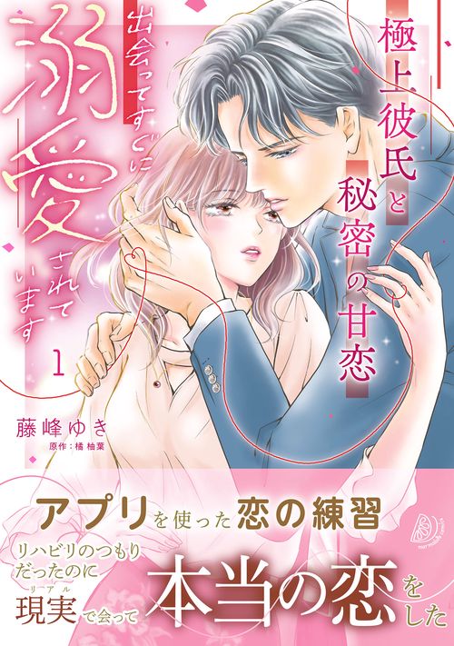 極上彼氏と秘密の甘恋～出会ってすぐに溺愛されています～ １
