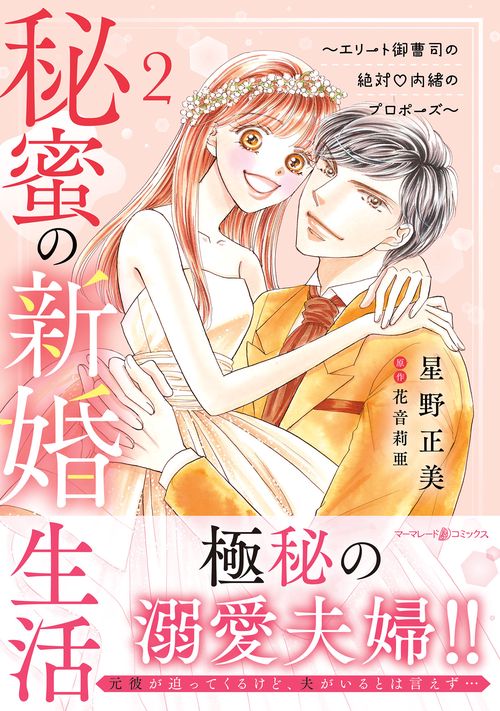 秘蜜の新婚生活～エリート御曹司の絶対内緒のプロポーズ～ 2