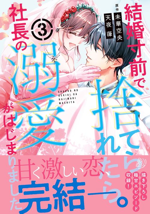 結婚寸前で捨てられたら社長の溺愛がはじまりました3
