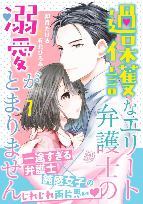 過保護なエリート弁護士の溺愛がとまりません 1