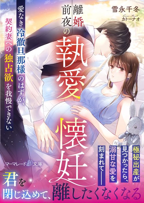離婚前夜の執愛懐妊愛なき冷徹旦那様のはずが、契約妻への独占欲を我慢できない