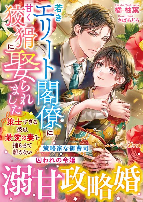 若きエリート閣僚に甘く狡猾に娶られました策士すぎる彼は最愛の妻を捕らえて離さない