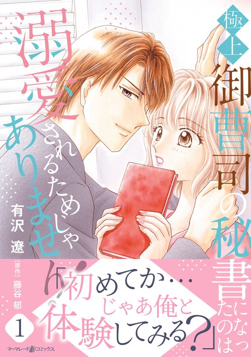 極上御曹司の秘書になったのは溺愛されるためじゃありません！１