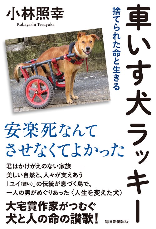 車いす犬ラッキー 捨てられた命と生きる