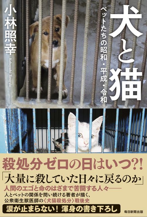 犬と猫