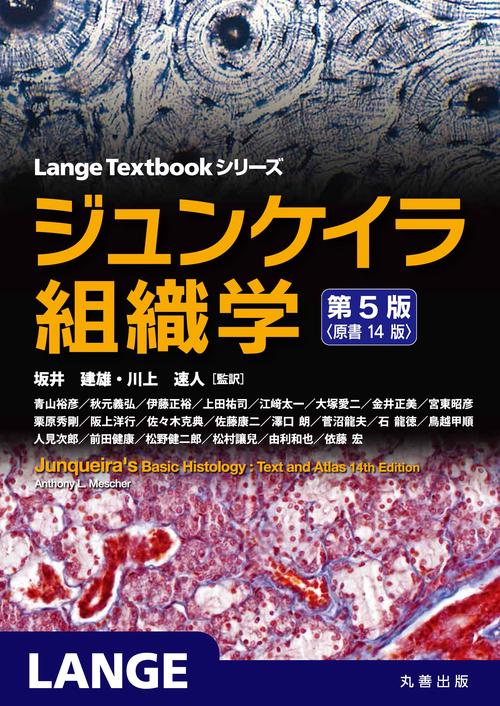ジュンケイラ組織学