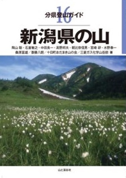 新潟県の山